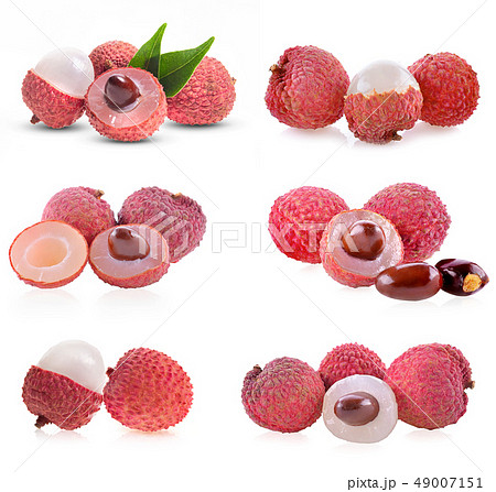 フルーツ ピンク 果物 果実の写真素材