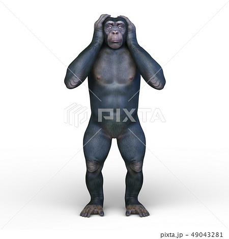 チンパンジーのイラスト素材集 ピクスタ