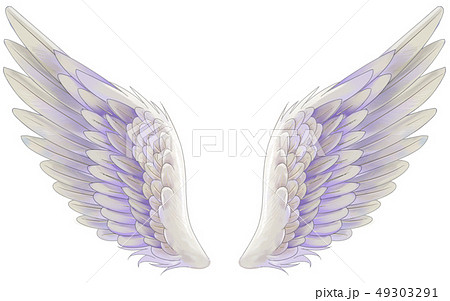 翼 天使 羽 ウィングのイラスト素材