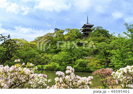五月杜鵑花日本庭園日式庭園日式庭院照片素材