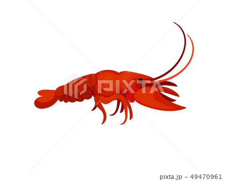 Crawfishのイラスト素材