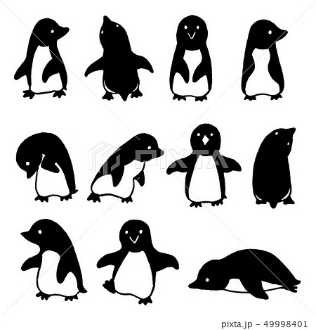 ペンギン イラスト モノクロ シンプル 白バックの写真素材