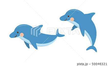 水中 海中 海 イルカのイラスト素材