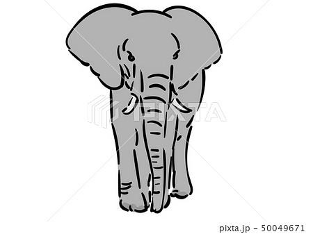 ゾウ イラスト 全身 ぞうの写真素材