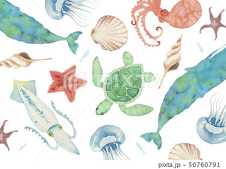 夏 海 生き物 背景のイラスト素材