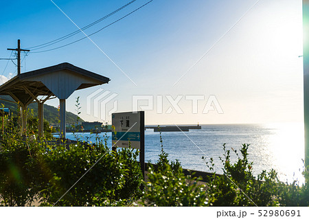 向日葵 夏 ノスタルジック 田舎の写真素材