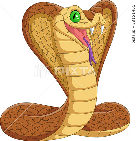 キングコブラ ヘビ ベクトル 危ないのイラスト素材