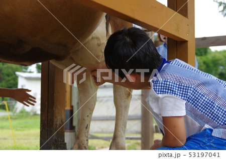  中学生 女子小学生乳首 