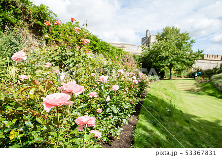 イギリス ヨーロッパ 花壇 海外の写真素材