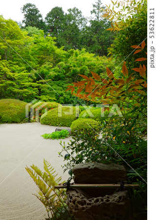五月杜鵑花日本庭園日式庭園日式庭院照片素材