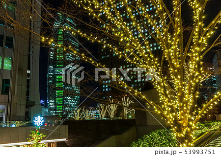 新宿西口 夜景 高層ビル 街路樹の写真素材