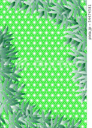 薄黄緑 壁紙 緑色 背景素材の写真素材
