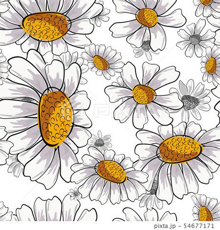背景 花 カモミール デザインのイラスト素材