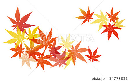 葉 もみじ 楓 紅葉のイラスト素材