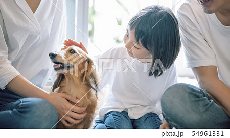 お父さん犬の写真素材