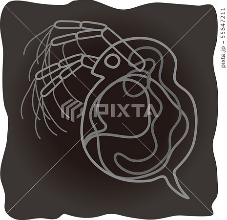 ミジンコ プランクトン 微生物 かわいいのイラスト素材