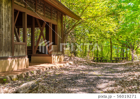 森の中の山小屋 初夏の写真素材