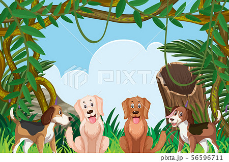 ジャングル 動物のイラスト素材