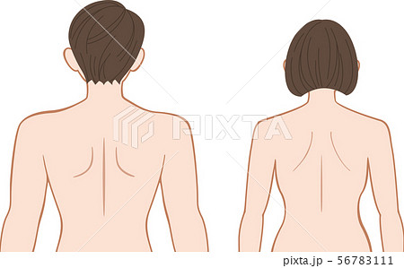 裸 男性 背中 後姿のイラスト素材