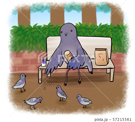 ハト目のイラスト素材