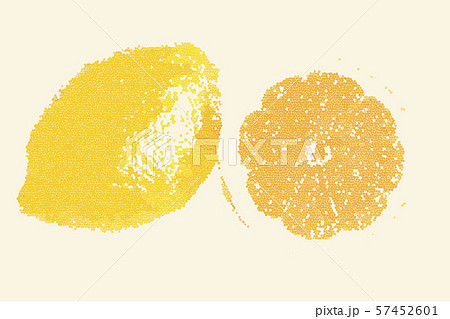 カンキツ類 黄色 酸っぱい 食べ物のイラスト素材