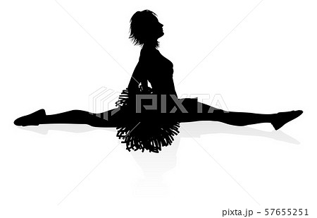 ポンポンのイラスト素材