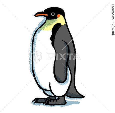 皇帝ペンギンのイラスト素材