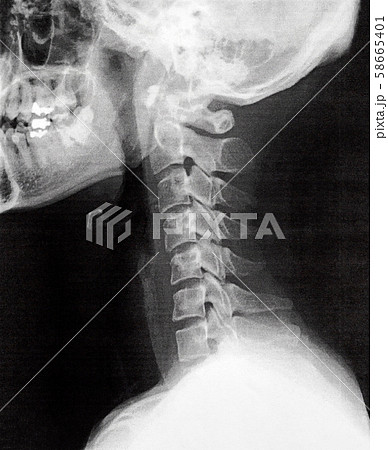 洋書【解剖学・骨格がわかる】レントゲン遊び　AMAZING X-RAYS　人体 洋書【解剖学・骨格がわかる】レントゲン遊び AMAZING X-RAYS