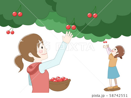 さくらんぼ狩り 可愛い フルーツ 果物狩りのイラスト素材 さくらんぼ狩り 可愛い フルーツ 果物狩りのイラスト素材