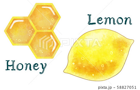はちみつレモン 蜜のイラスト素材
