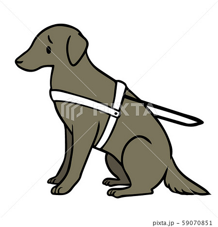 犬 盲導犬 補助犬 ラブラドールレトリバーのイラスト素材