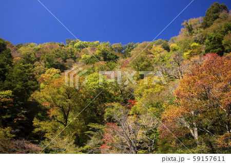 九酔渓の紅葉の写真素材