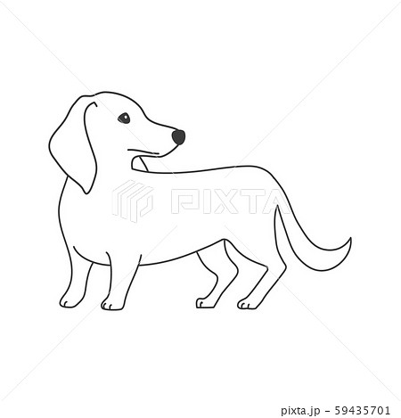 犬 ミニチュアダックス シンプル 白黒の写真素材