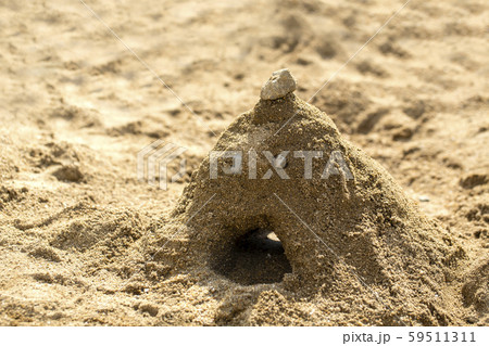 山 砂浜 砂 トンネル 砂山の写真素材
