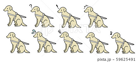 犬 盲導犬 補助犬 ラブラドールレトリバーのイラスト素材