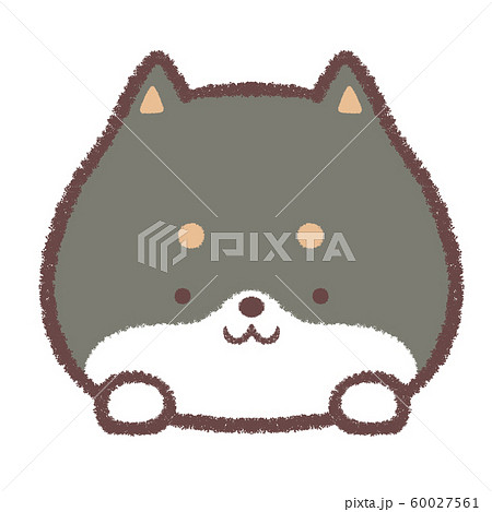 柴犬 犬 日本犬 黒柴のイラスト素材 - PIXTA