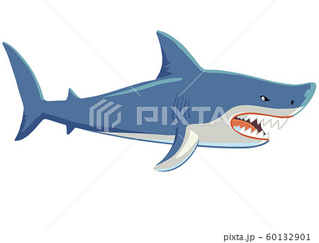 鮫 凶暴 泳ぐ 動物のイラスト素材