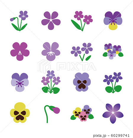スミレ すみれ 菫 蕾のイラスト素材