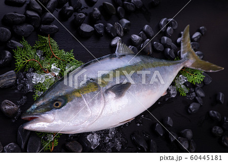 メジロ 魚 食べ物 和食の写真素材