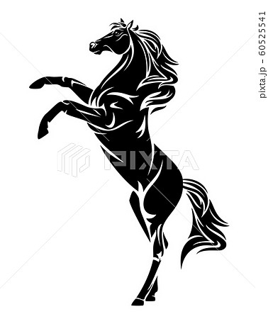 馬 サラブレッド モノクロ 白黒の写真素材