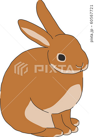 うさぎ 横向き イラスト 白バックのイラスト素材
