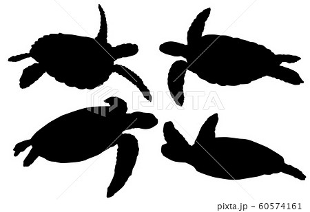 シルエット ウミガメ 海亀 うみがめの写真素材
