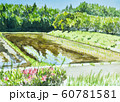 水彩画 風景画 長野県 安曇野 大王わさび農園のイラスト素材 [47971187