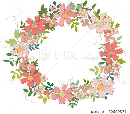 花柄 壁紙 デイジー柄 ピンク 可愛い花 カード 背景の写真素材