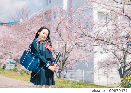 若い女性 美少女 桜 桜並木の写真素材