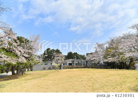 斎藤茂吉の写真素材