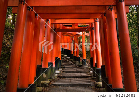 伏見稲荷大社 伏見稲荷 階段 神社の写真素材