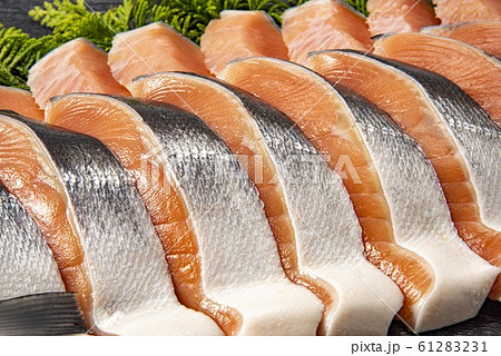 秋鮭の写真素材