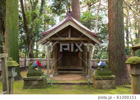 祠 木々 森 森林の写真素材