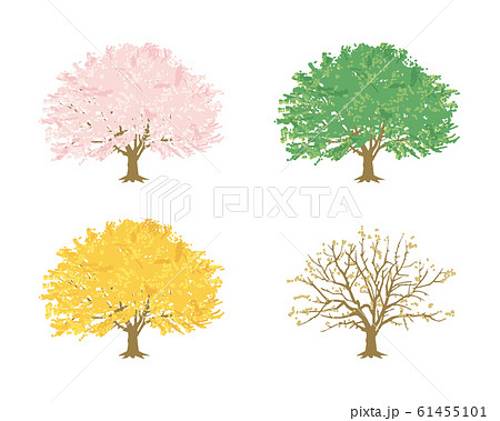 冬 サクラ 桜の木 桜の写真素材 - PIXTA